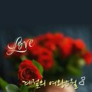 고운님 이미지