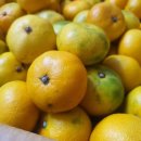 훈이네 농장 이미지