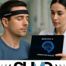 에스에이치 헬스케어 이미지