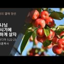 [20220807]성령의 열매 ⑥ - 하나님 보시기에 착하게 살자/ 갈라디아 5:22-23 이미지