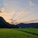 두루봉농원2 이미지