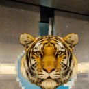 수원-1255 이미지