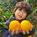 내혜홀농장 이미지