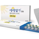 세레인 이미지