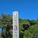 홈포레스트리조트 | 거제 홈포레스트 리조트 패밀리 스위트객실 솔직후기