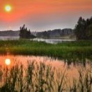 공존(共存) 이미지