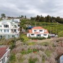 서호동-46 이미지