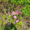 상서재1로 이미지