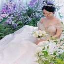 타임결혼정보 이미지