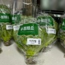이정파트너스 - 강남구 삼성로 560 | 이정파트너스
