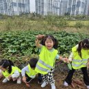 갈현농장 이미지