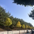 지에스(GS)25 부사스타점 | 가을과 겨울 그 사이