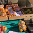 유명컴퓨터세탁소 이미지