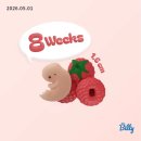 신선차 | [시험관 신선1차 성공 후기] 5주차부터 10주차 졸업까지ep.5
