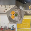 스페이스몸미술관 | <소멸의 시학: 삭는 미술에 대하여> 관람 후기 (국립현대미술관 서울 전시)