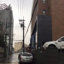 태창스크린골프 | 대방역 투데이 스크린 골프존 골프연습장에 간 켈리