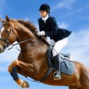 분당승마클럽 이미지