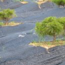 풍월농장 이미지