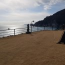 욕지도펜션블루씨 네이버블로그