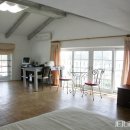 오렌지빌 이미지