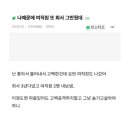 933001 이미지
