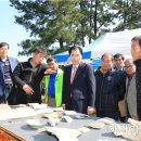 완도 법화사지 이미지