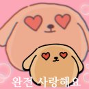 1급코리아모터스 이미지