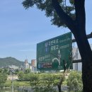 오늘잡은소.돼지팔도축산 - 청도군 금천로 41-2 | 안성 송지원펜션 별채 솔직후기 / 바베큐, 노래방까지 즐긴 남자 5명 여행