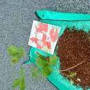 오라초등학교 병설유치원 이미지