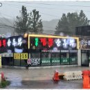 디자인이팝