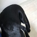 멍이 수라간 이미지