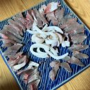 옛항구숙박 | 경주 감포 유노게스트하우스 선상낚시 1박 2일 후기 - 돌고래보고 삼치 잡음