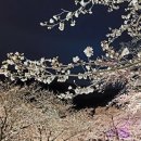 화개장터 이미지