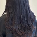 장안공단1길c | 천안레이어드C컬펌 잘하는 두정역 하월헤어