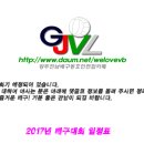 2017 생활체육 배구대회 일정표(7월 15일 현재) 이미지