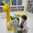 어느 날, 영월 산 책 이미지