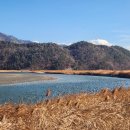 순천만습지 이미지