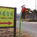 서원농원 - 영천시 추곡길 56 | 서원농원