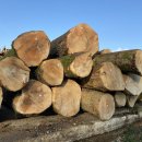 공공용 97 이미지