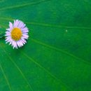 창신세탁소 이미지