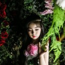 (주)아라촌