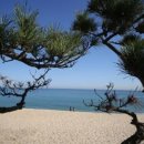 썬라이즈경포 이미지