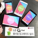 롤리팝