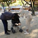 자곡천 네이버블로그