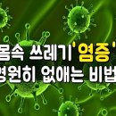 염증 잡고 면역력 높이는 음식 5가지 이미지