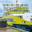 비소(조)-호-20 | 필리핀 코론섬 가는법 엘니도 코론 페리 조말리아호