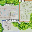 불루캠핑장 | 마운틴 뷰가 멋진 숲과 수영장이 있는 가평블루문캠핑장(자리정보싹!!!)