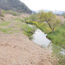 낙동강변27 이미지