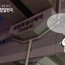 삼락김밥 이미지