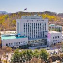 와이즈레인 이미지